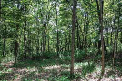 8088 Ridgeview Dr, Big Canoe, GA 30143 - photo 6