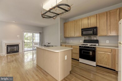 10168 Pale Rose Loop, Bristow, VA 20136 - photo 6