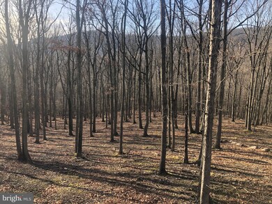 0 9 D W F unit WVHD2001218, Mathias, WV 26812 - photo 4