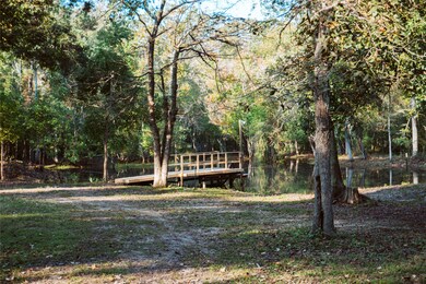 703 Placid Lake Ln, Magnolia, TX 77354 - photo 2