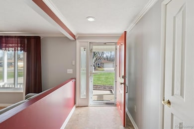 47501 Nita Dr, Shelby Township, MI 48317 - photo 5