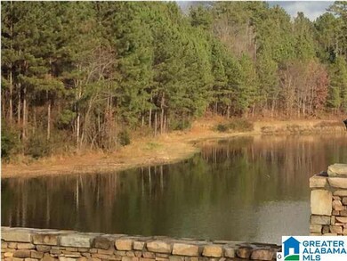 48 Bells Ln unit 48, Vincent, AL 35178 - photo 4