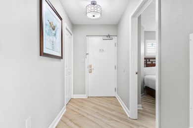 Doorway featuring light hardwood / wood-style floo