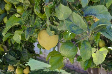 unlisted-address, Nipomo, CA 93444 - photo 5