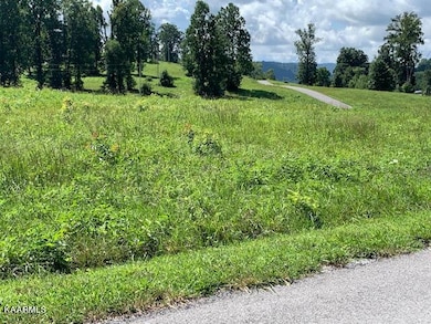 0 Oak Point Dr unit 1202484, Jonesville, VA 24263 - photo 7