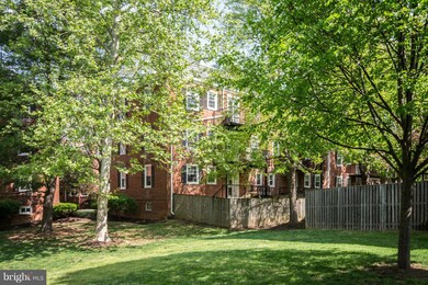 2920 S Buchanan St unit C2, Arlington, VA 22206 - photo 2