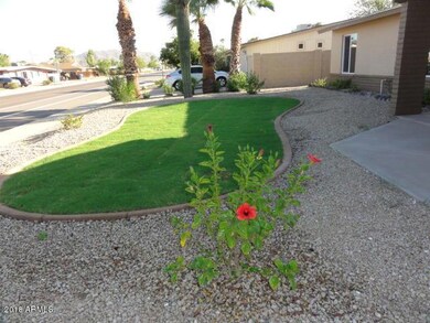 Front yard
