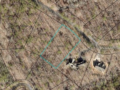 Lot 94 Doll Mountain Rd, Ellijay, GA 30540 - photo 3