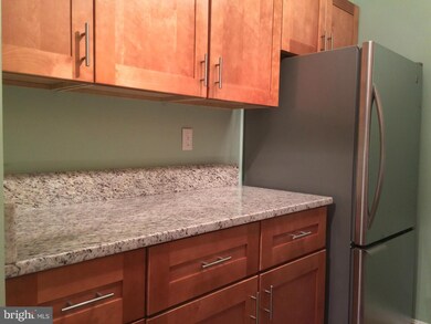 5827 Cove Landing Rd unit 202, Burke, VA 22015 - photo 5