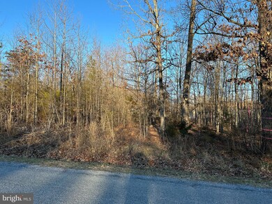 0 Woodland Dr unit VAPA2003168, Luray, VA 22835 - photo 5