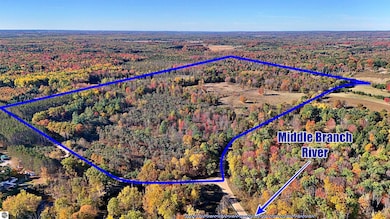 0 Twin Lake Rd, Middle Branch Township, MI 49665 - photo 2