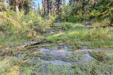 6300 Camas Creek Rd, Potomac, MT 59823 - photo 3