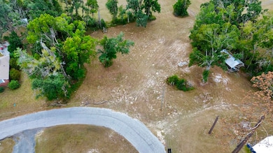 Vacant Marshall Dr, Perry, FL 32347 - photo 2