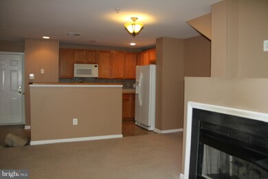 24751 Stone Station Terrace unit 24751, Stone Ridge, VA 20105 - photo 6