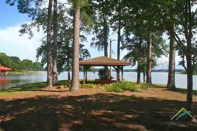 16420 Live Oak St, Tyler, TX 75707 - photo 3