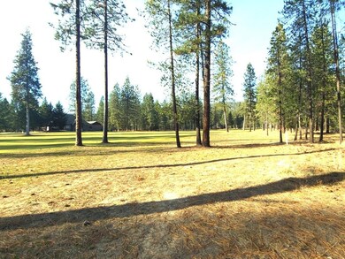 Looking down the fairway