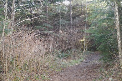 0 McGaughy Ridge Ln unit 1574341, Elma, WA 98541 - photo 6