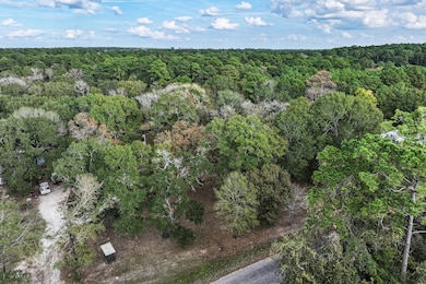 106 Roy Webb Rd, Huntsville, TX 77320 - photo 4