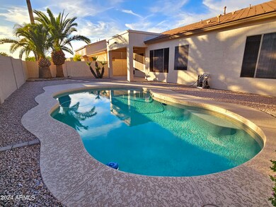 Backyard with Pool