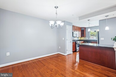 4163 S Four Mile Run Dr unit 401, Arlington, VA 22204 - photo 5