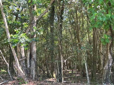 0 University Ave unit 25726, Troy, GA 30681 - photo 7