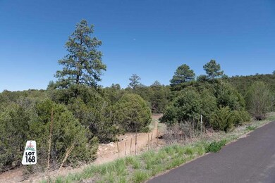 25 Los Pecos Loop, Rancho Verde, NM 87059 - photo 4