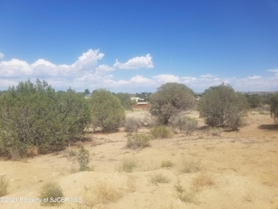 5302 Marcy Place, Farmington, NM 87402 - photo 3