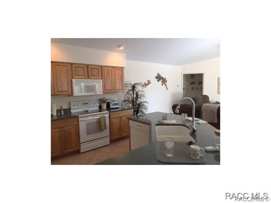 12 Heuchera Ct E, Homosassa, FL 34446 - photo 6