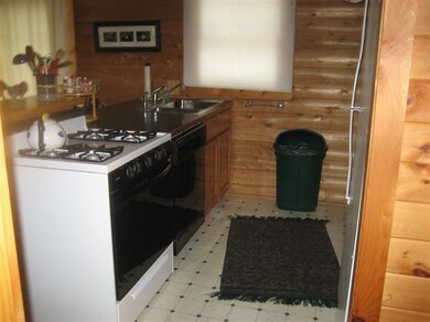 10949 N Wilvan Dr, Bitely, MI 49309 - photo 6