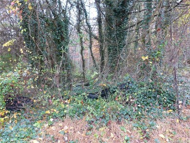 99 Blooming Laurel Dr, Hendersonville, NC 28792 - photo 2