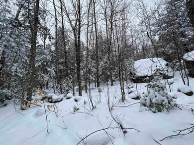 00 Deer Valley Rd unit 477, Bradford, NH 03221 - photo 4