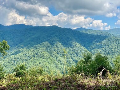 7858 Big Laurel Rd, Marshall, NC 28753 - photo 4