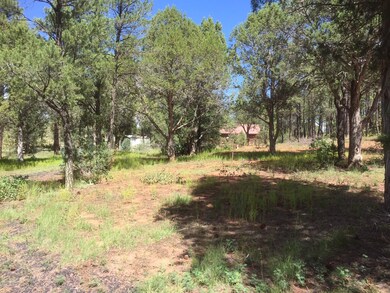 Level grassy area