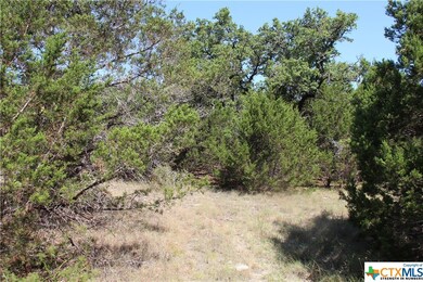 Near center of property looking toward back of pro