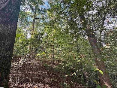 499 Acker Rd, Anderson, SC 29624 - photo 3