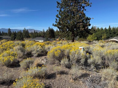 7-2 Lot 207 Otter Ct unit 7-2, Lake Shastina, CA 96094 - photo 5