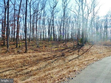 LOT 33 Comforter Ln, North River, VA 22645 - photo 3