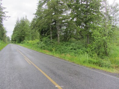 0 XXXX Loomis Trail Rd, Blaine, WA 98230 - photo 2
