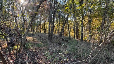 4035 S Swartz Ridge Rd, Bloomington, IN 47401 - photo 5