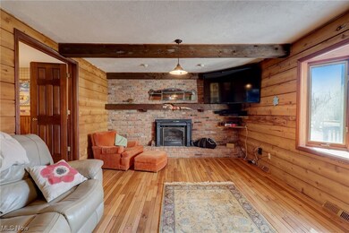 820 Mustang Pass, Aurora, OH 44202 - photo 4