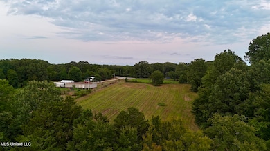 dji_fly_20250804_201120_0012_17543563681