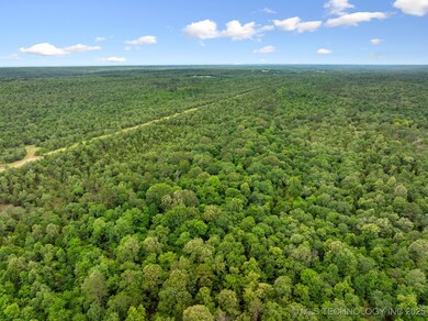 25 Tram Trail, Rattan, OK 74562 - photo 7