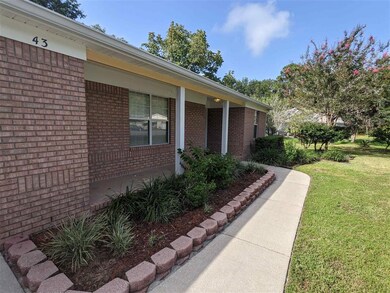 43 Ring Tailed Eagle Dr, Crawfordville, FL 32327 - photo 4