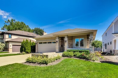 175 N Oak St, Elmhurst, IL 60126 - photo 3