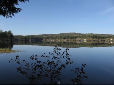 Belleau Lake waterfront
