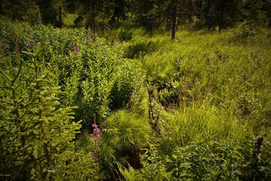 C13 Alaskan Wildwood Ranch, Nikolaevsk, AK 99556 - photo 6