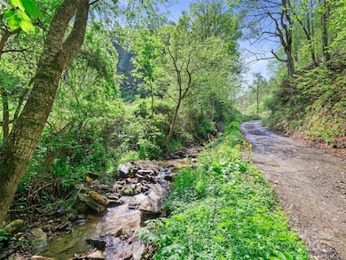 0 Fire Scald Rd unit CAR4252435, Green Mountain, NC 28740 - photo 3