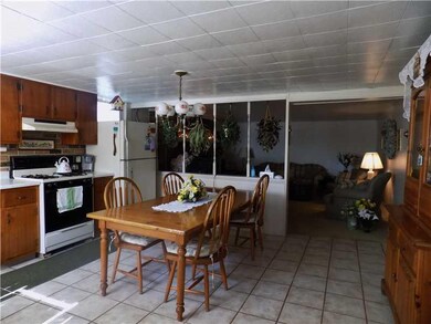 Kitchen. Rear, lower level of house!