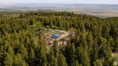 53 Squaw Creek Rd, Bancroft, ID 83217 - photo 2