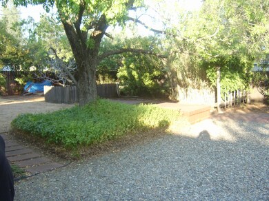 Large Backyard